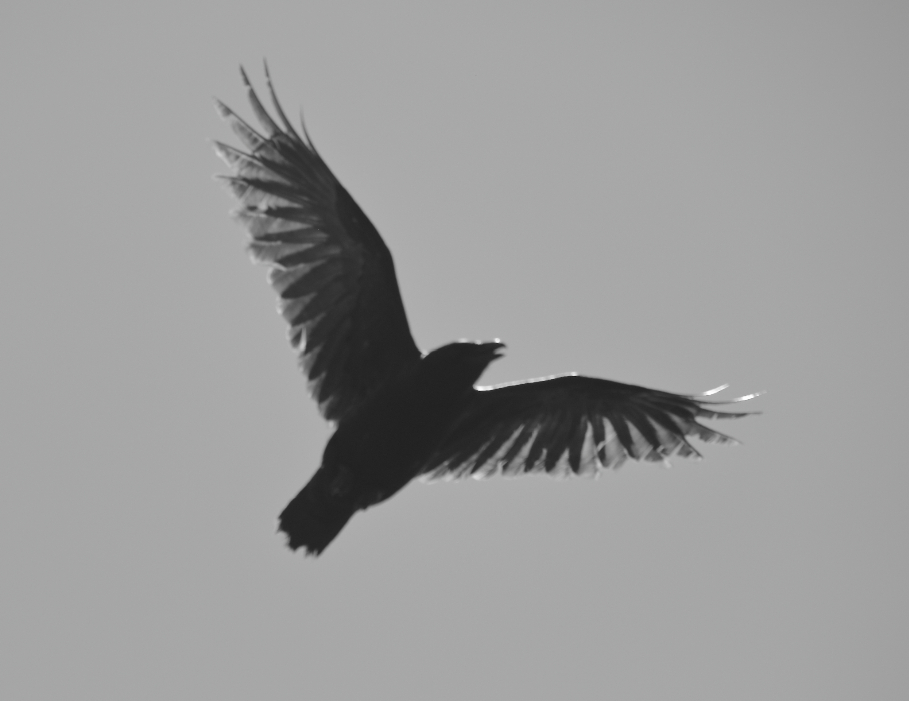2019 05 25 HTP 90077ebw